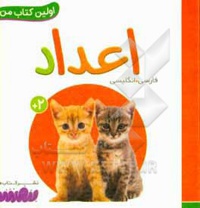 بورد بوک اولین کتاب من 20 اعداد